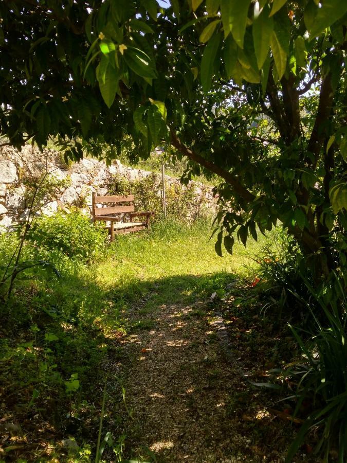 Quinta Algarve Das Relvinhas Monchique Exteriör bild