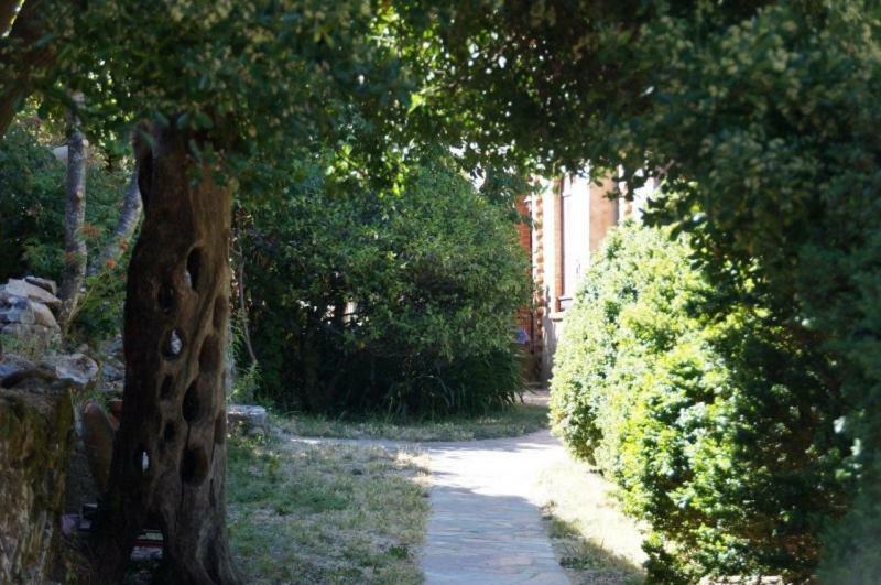 Quinta Algarve Das Relvinhas Monchique Exteriör bild