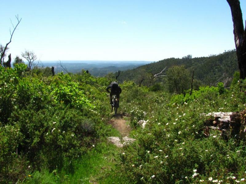 Quinta Algarve Das Relvinhas Monchique Exteriör bild